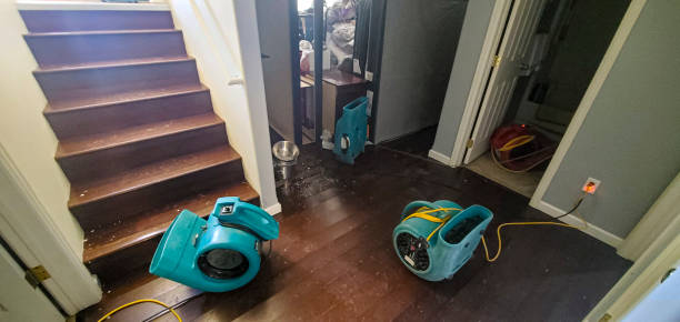 Best Flood damage cleanup  in Southgate, MI