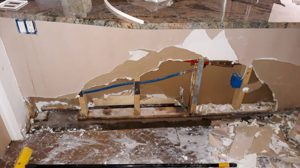 Best Flooded house restoration  in Southgate, MI