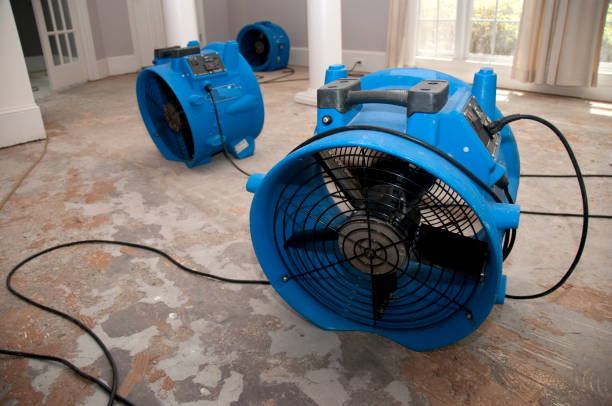 Best Commercial water damage restoration  in Southgate, MI