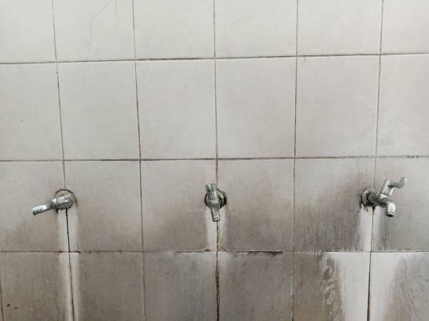 Southgate, MI Water damage restoration Company
