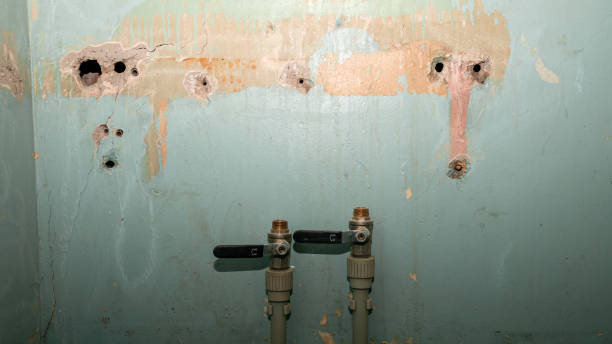 Best 24-hour water damage restoration  in Southgate, MI